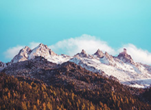 惊喜暴击！3900万锁定全能兽腰，曼联中场补强暗藏逆袭底牌